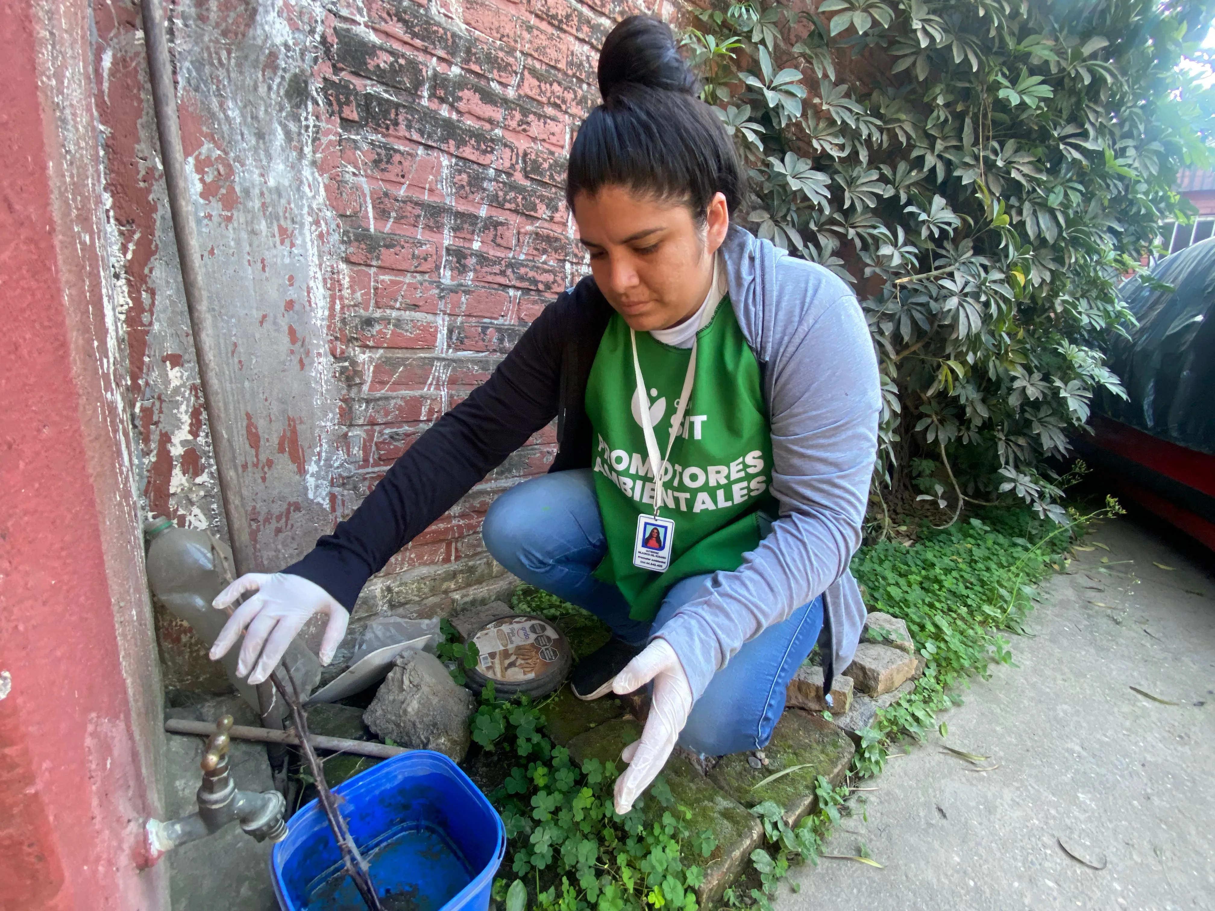 Cronograma de operativos ambientales para prevenir chikungunya y dengue, del 8 al 12 de junio