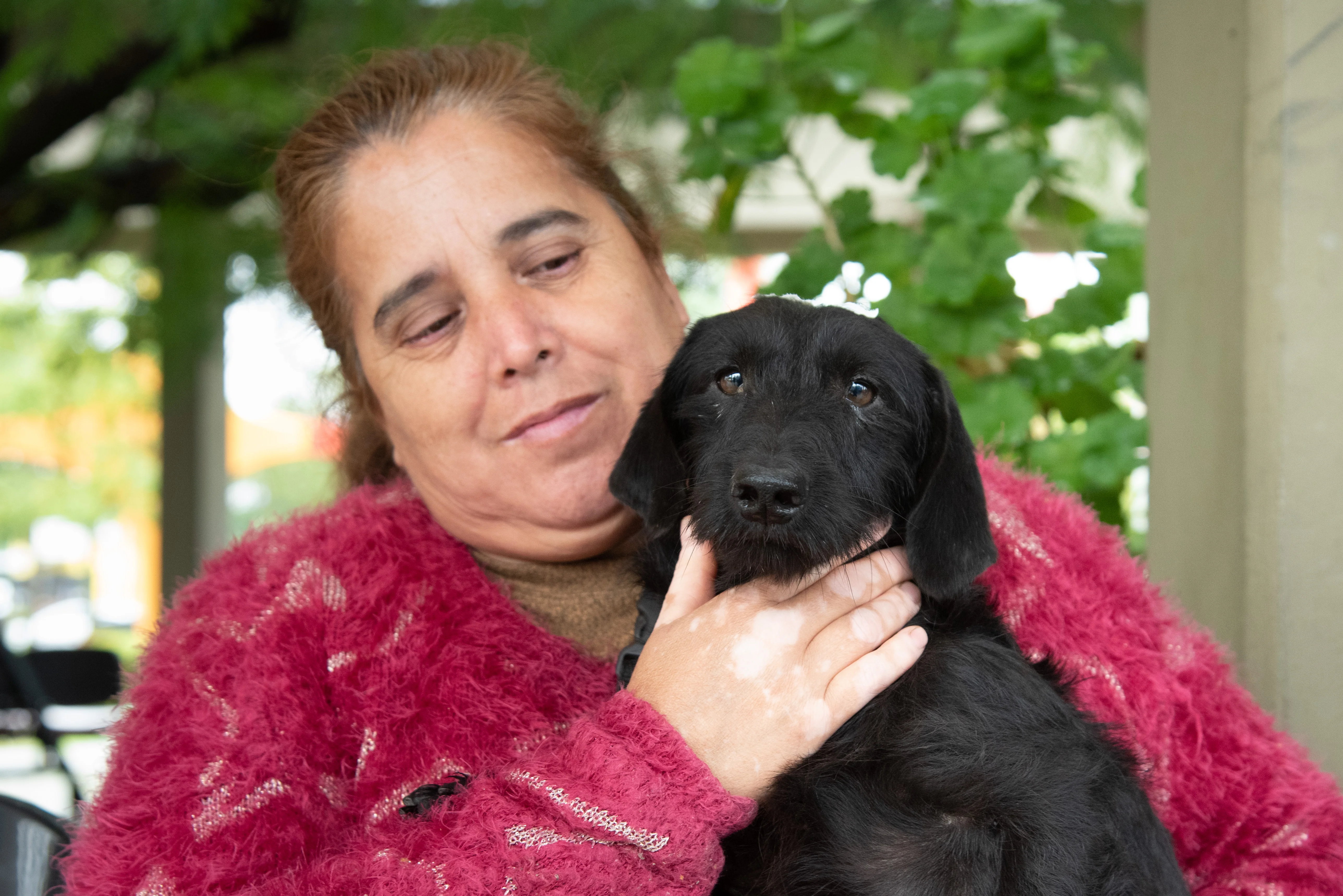 Dónde se brindará el servicio gratuito de castración para animales de compañía, del 24 al 28 de agosto