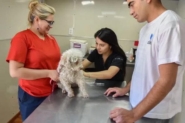 488681693_1132652722232601_8605970015504432694_n