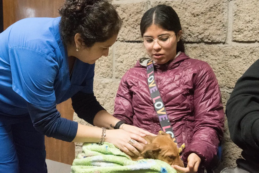 Castraciones gratuitas de perros y gatos en Castralat 2026 (2)