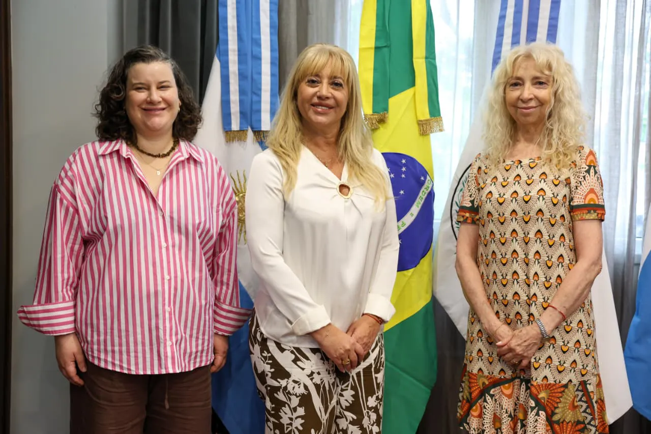 2025 visita cónsul de brasil  (2)