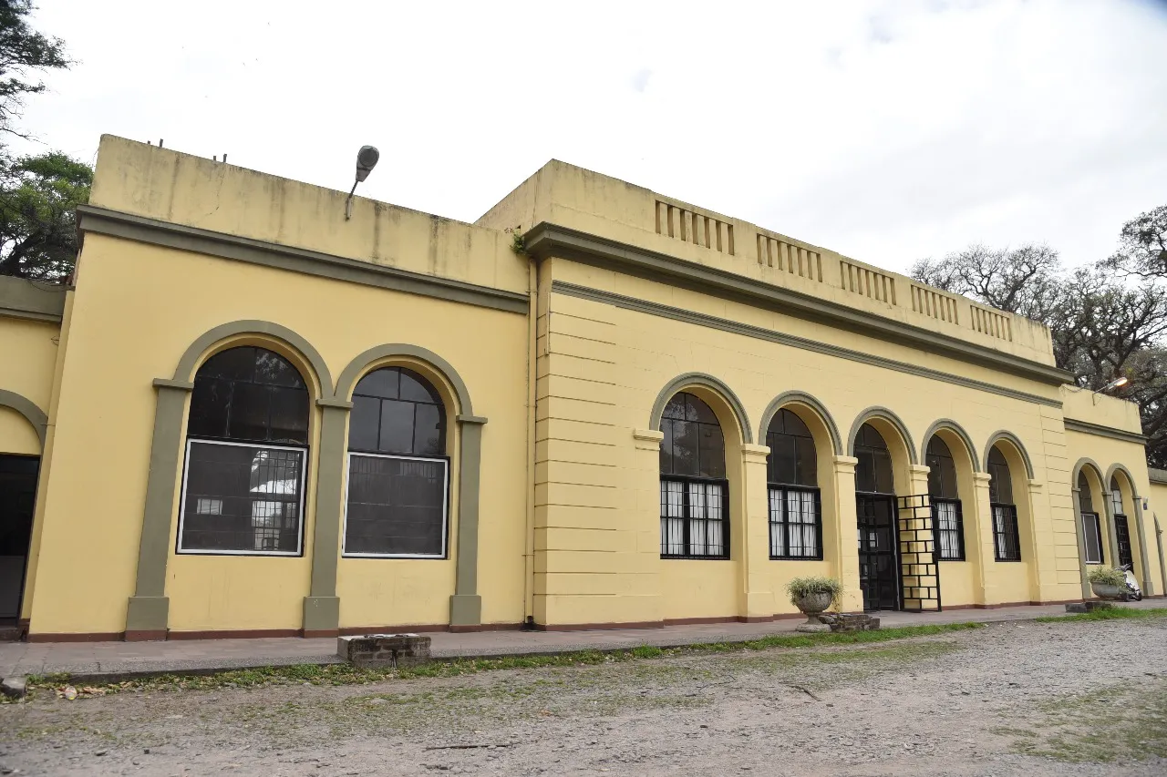 WhatsApp Image 2024-02-08 at 10.43.31