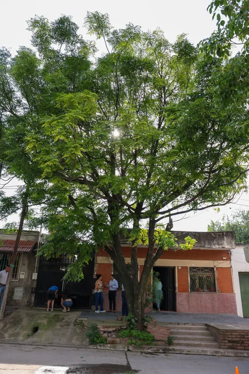 intendenta operativo poda villa alem 3