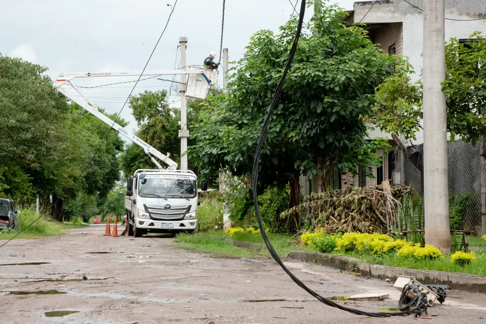 2026 operativo árboles temporal (3)