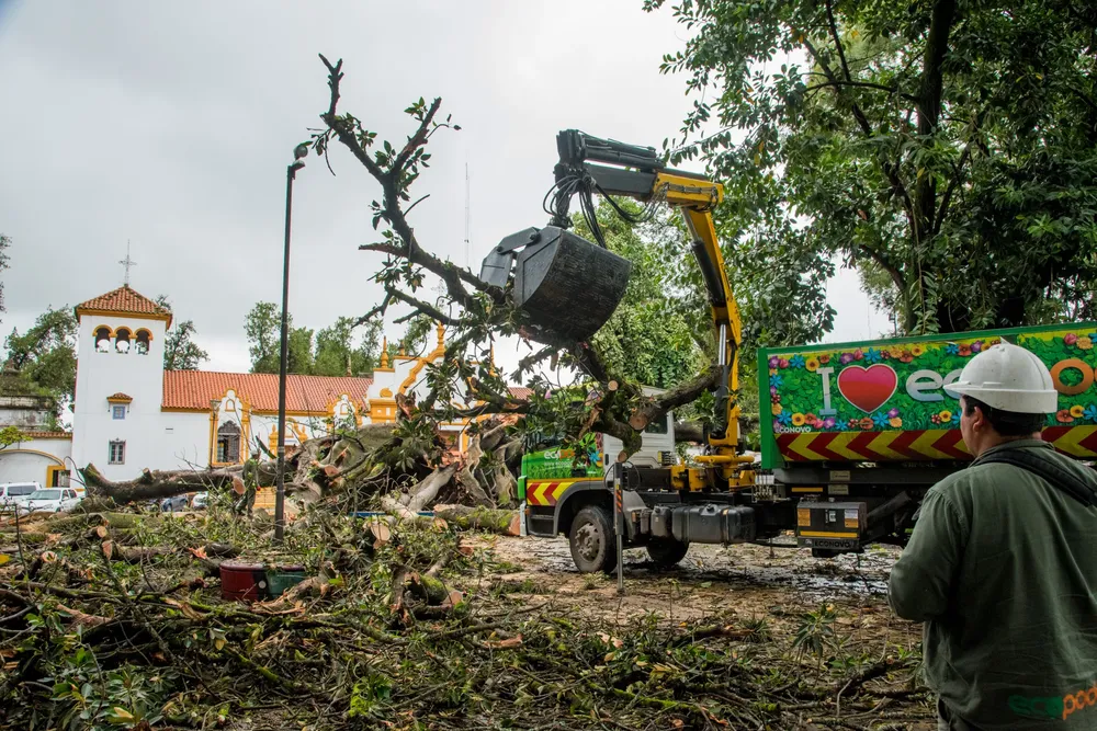 2026 operativo gomero caido (3)