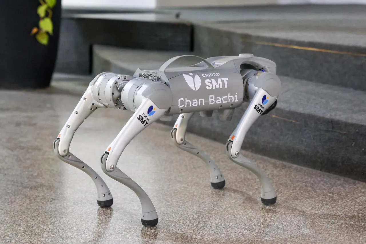 WhatsApp Image 2025-10-03 at 11.37.51 (1)