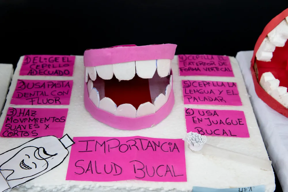 WhatsApp Image 2025-04-07 at 11.14.28 AM