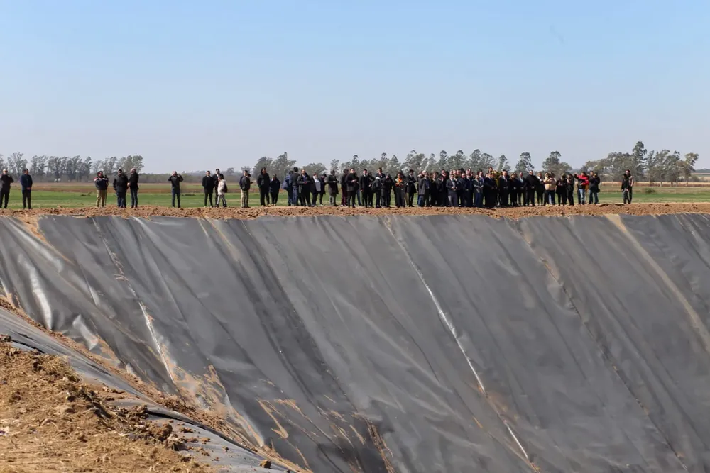 WhatsApp Image 2024-08-26 at 2.08.09 PM (3)