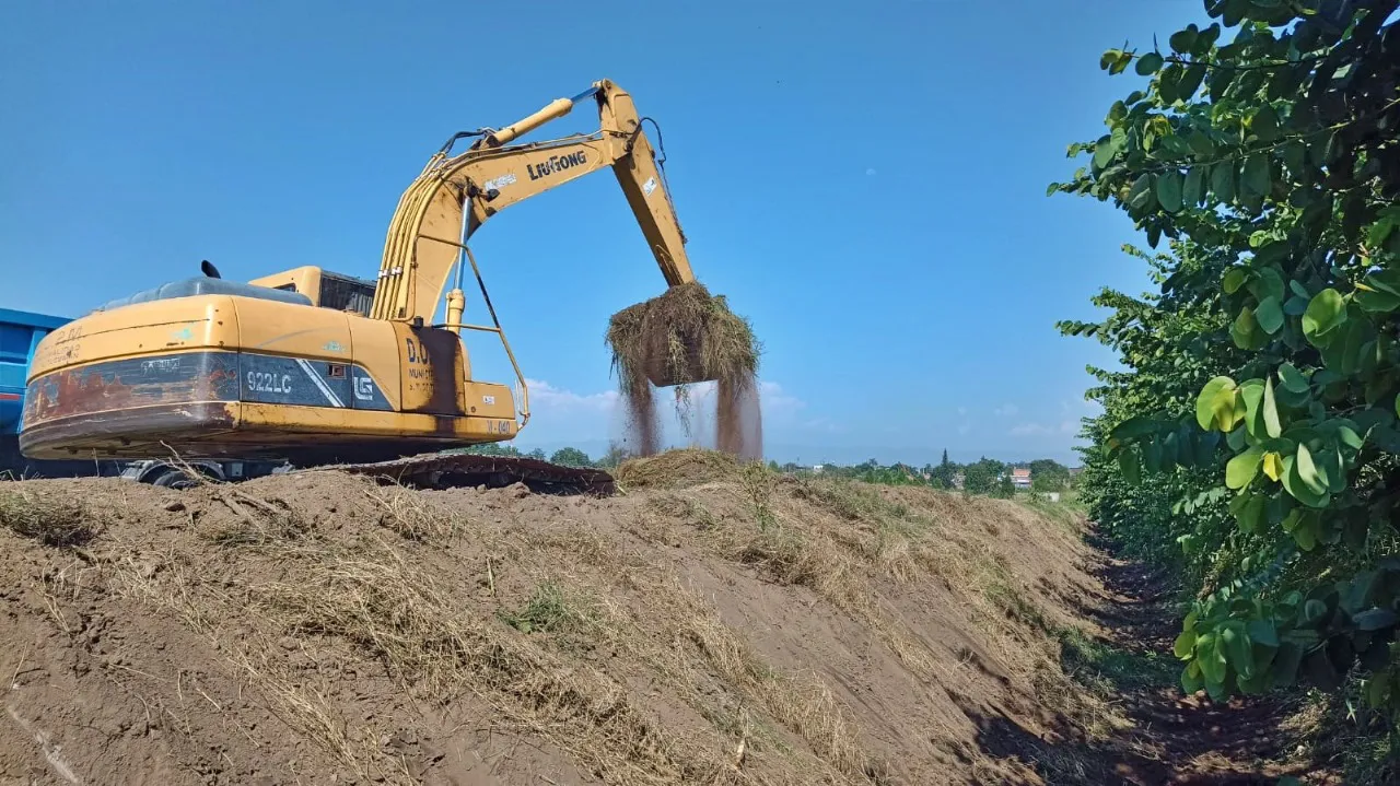 WhatsApp Image 2024-02-02 at 16.30.30 (1)