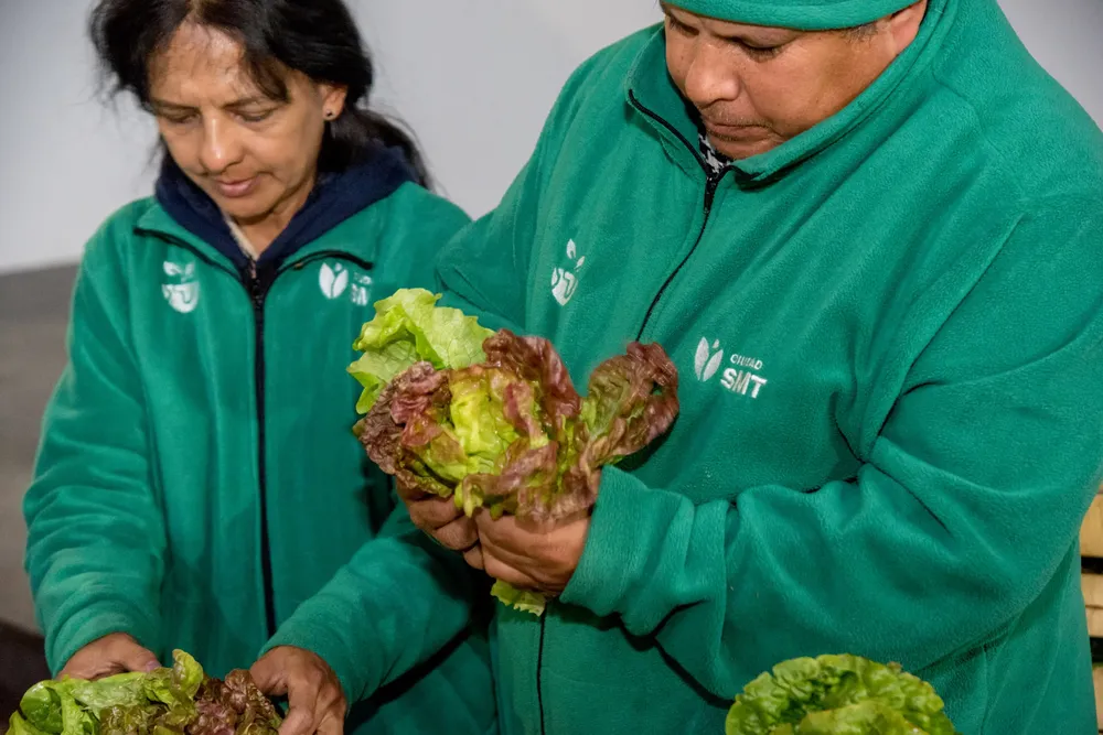 eco canje con huerta municipal 2