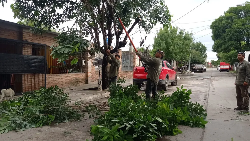 DC Caída2024-02-06 at 10.05.26