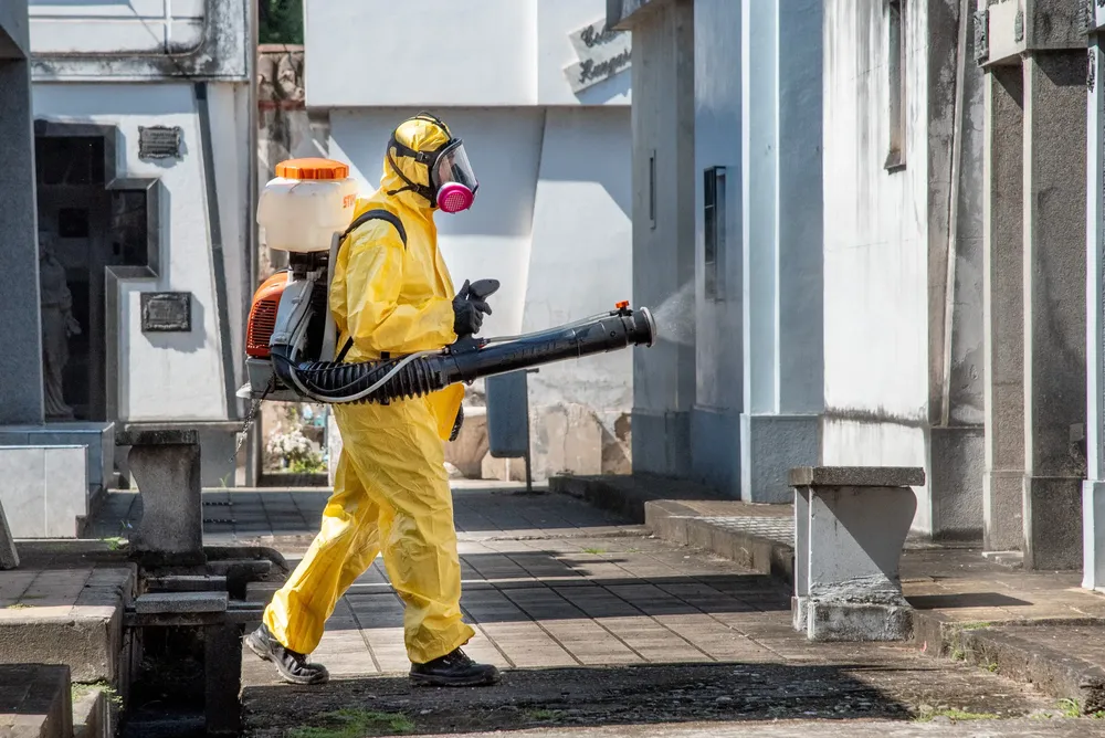 WhatsApp Image 2024-11-27 at 12.21.33 PM