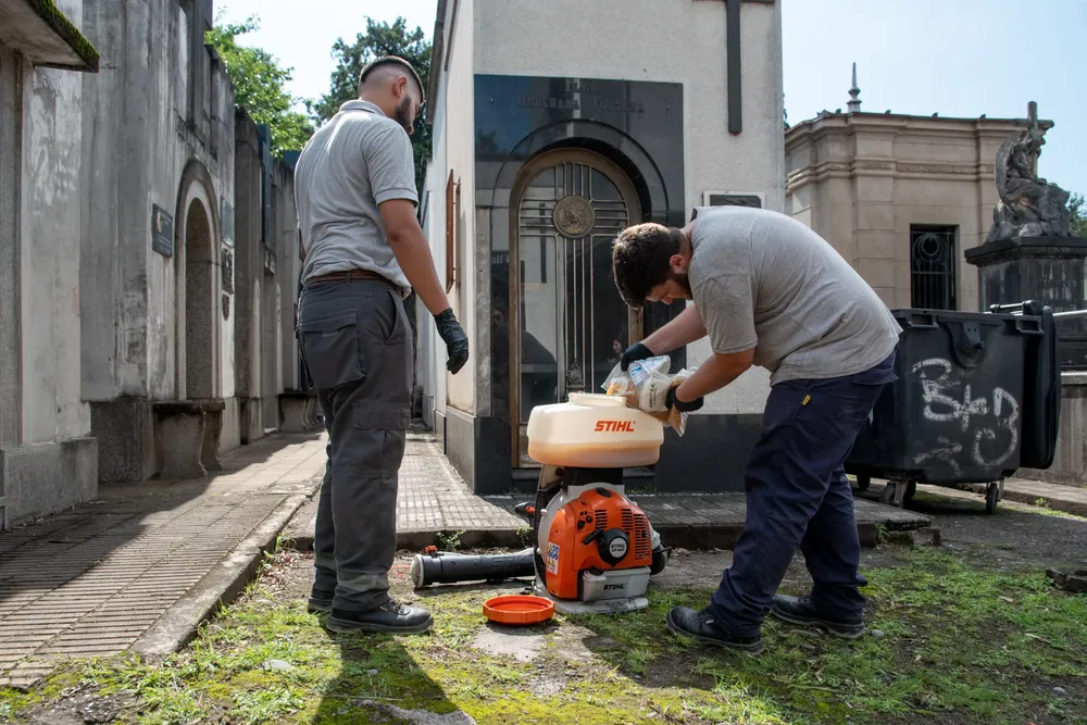 WhatsApp Image 2024-11-27 at 12.21.36 PM (1)