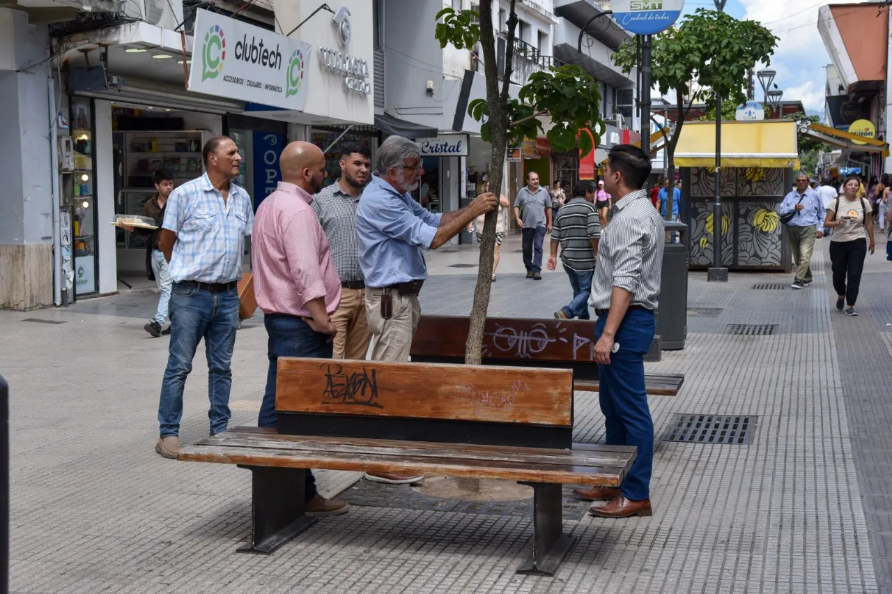 reforestación22024-02-07 at 12.58.52