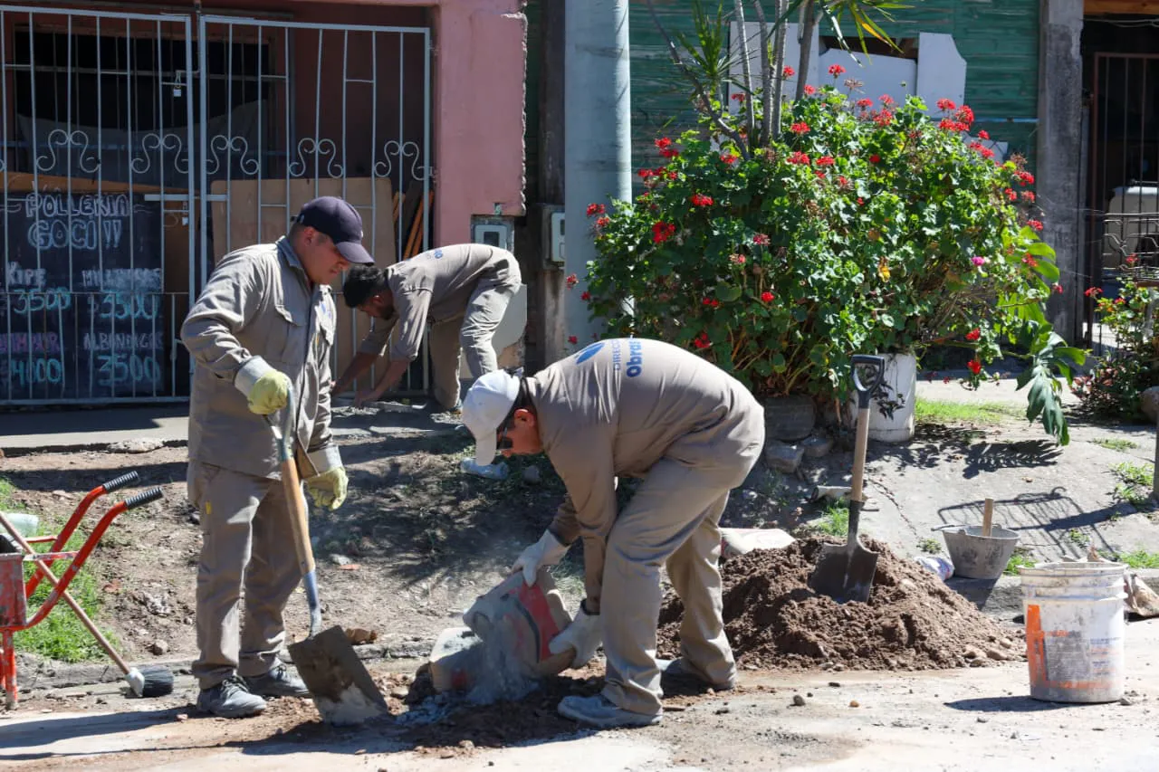 WhatsApp Image 2025-12-10 at 13.12.44