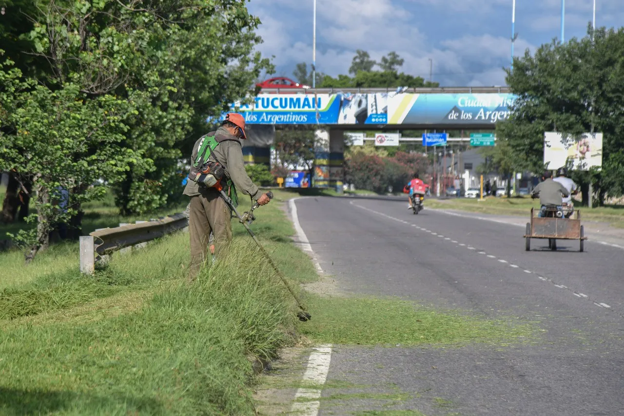 WhatsApp Image 2024-01-18 at 5.17.04 PM