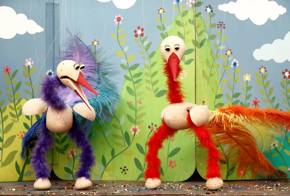 Teatro titeres Erase una vez - Colibrí - Venezuela (5)