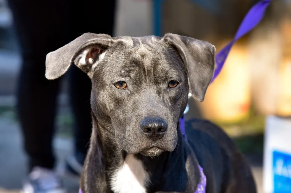 WhatsApp Image 2025-04-28 at 1.03.39 PM (2)