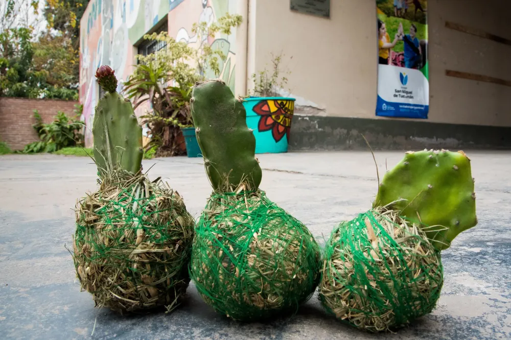 taller de elaboración de Kokedamas niñez y juventud 7