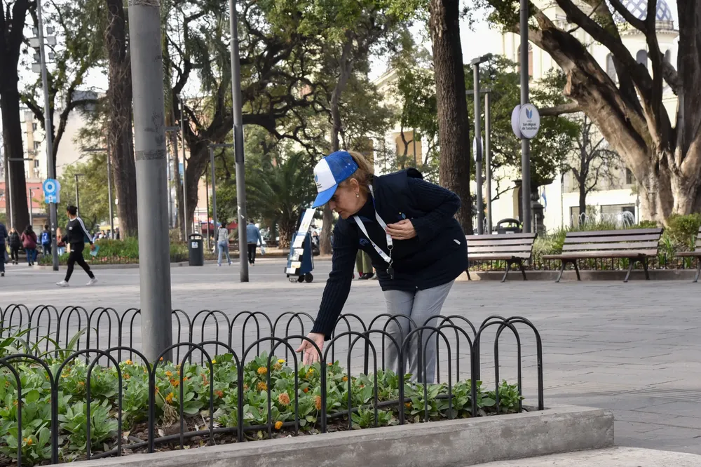 Nuevos placeros plaza Independencia 4