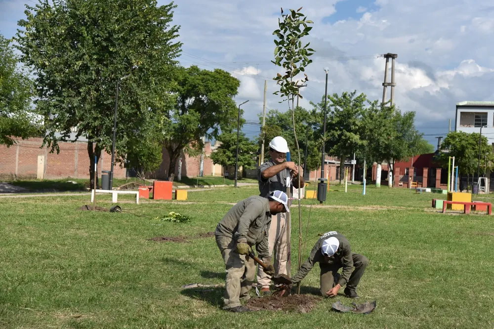 WhatsApp Image 2024-03-27 at 13.22.35