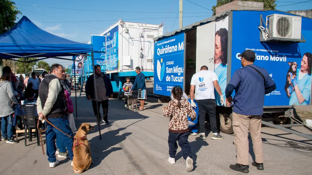 2025 smt para ilustrar somos más en territorio
