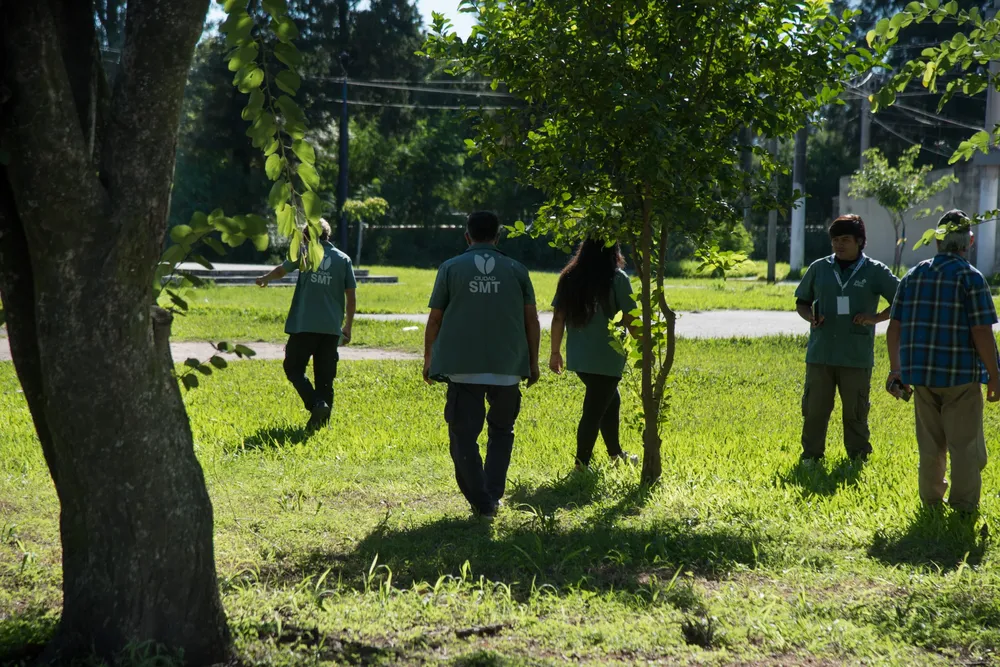 2026 censo de arbolado último dia (1)