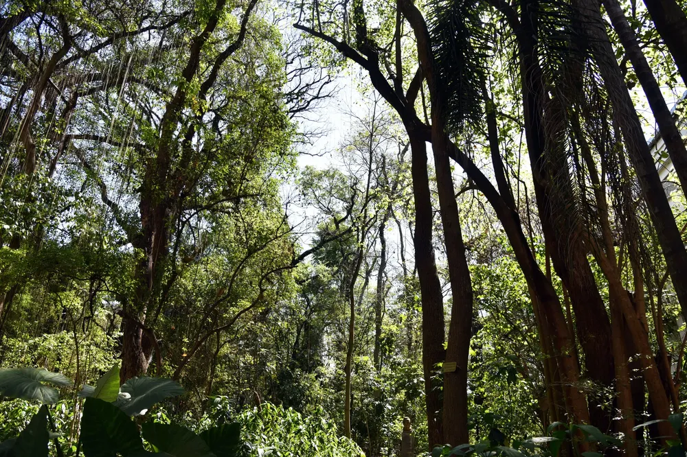 Ambiente 3