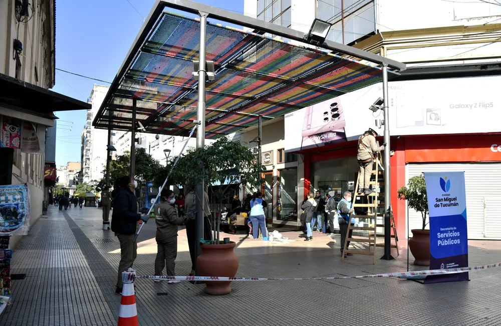 Pérgola D