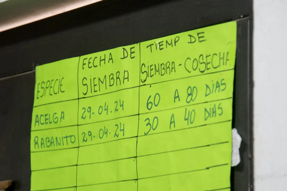 Taller de reciclado y huertas familiares 4