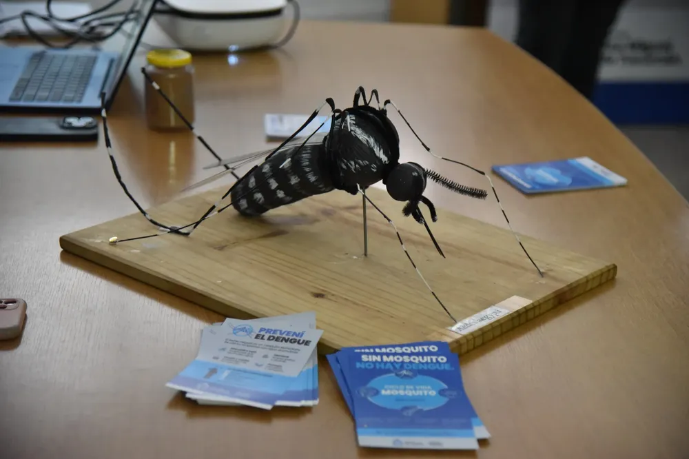 WhatsApp Image 2024-08-29 at 10.21.39 AM (2)