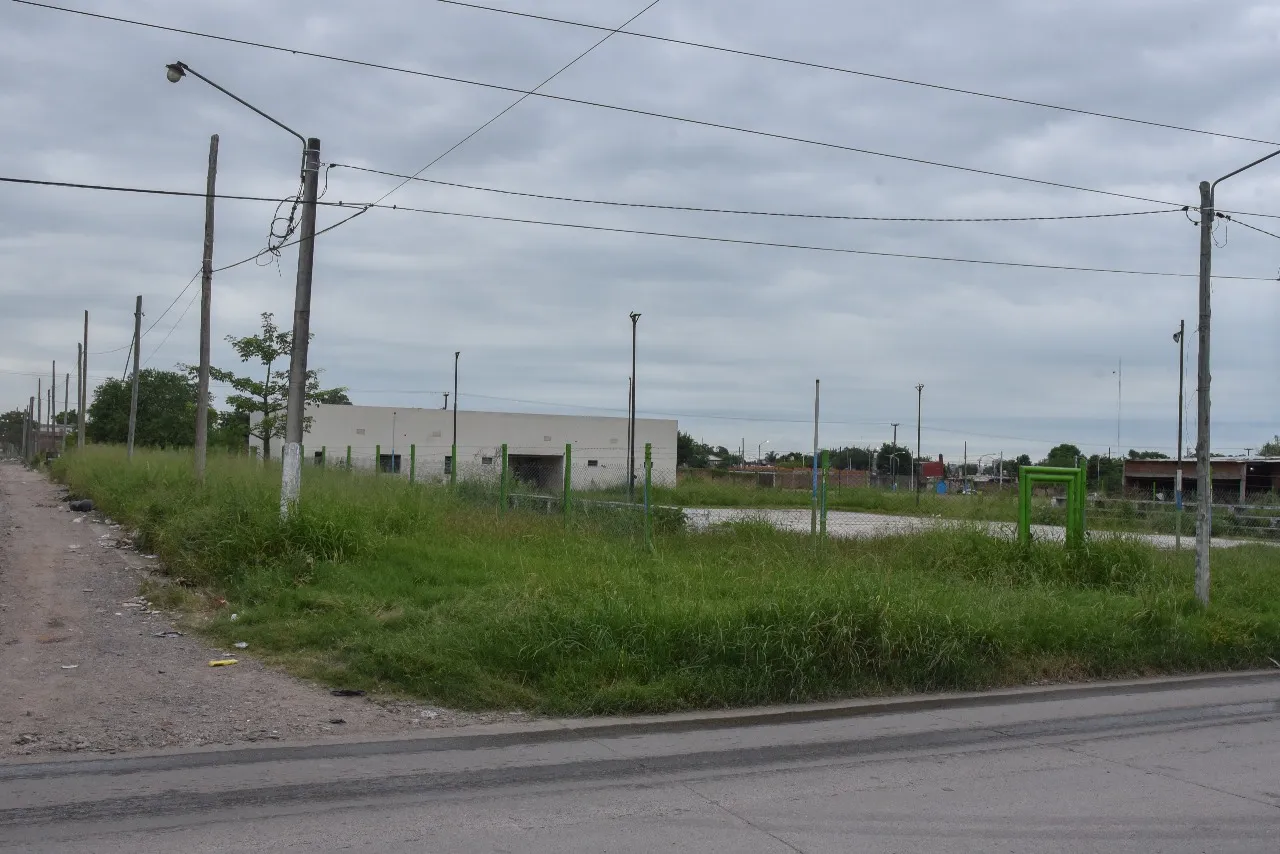 WhatsApp Image 2024-01-19 at 13.34.00