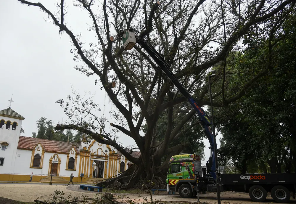 WhatsApp Image 2025-04-25 at 12.52.37 PM (2)