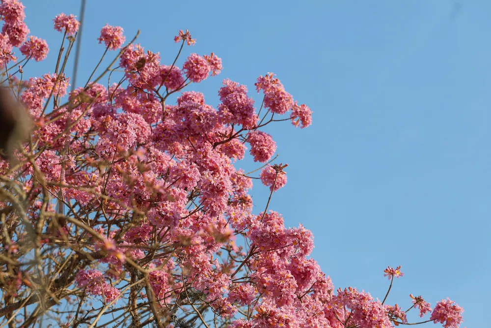 WhatsApp Image 2025-12-01 at 13.46.08