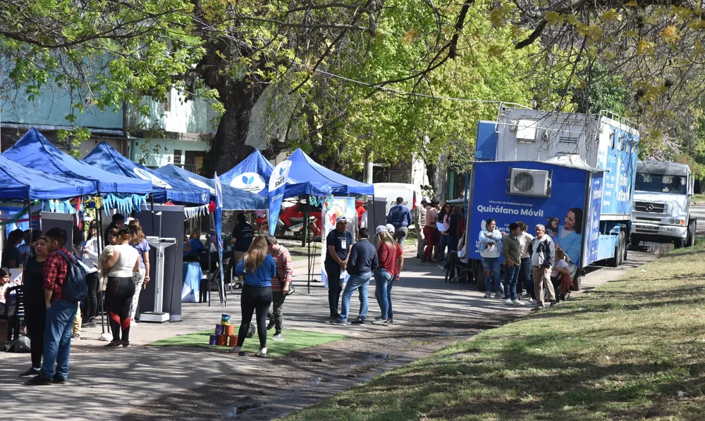 smt somos más en territorio 2024