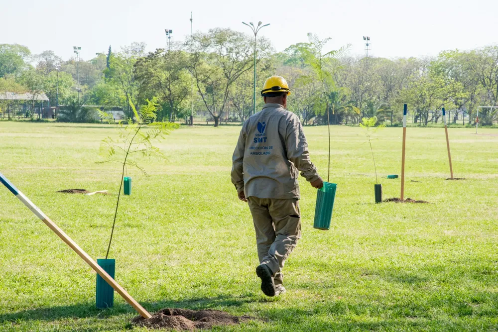2025 forestación arbolado parque 9 de Julio (2)