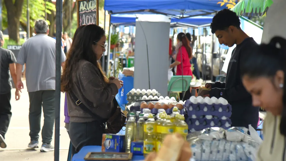 2026 mercado huevos y almacén