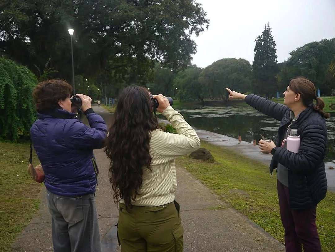 Día Observación de aves  (7)