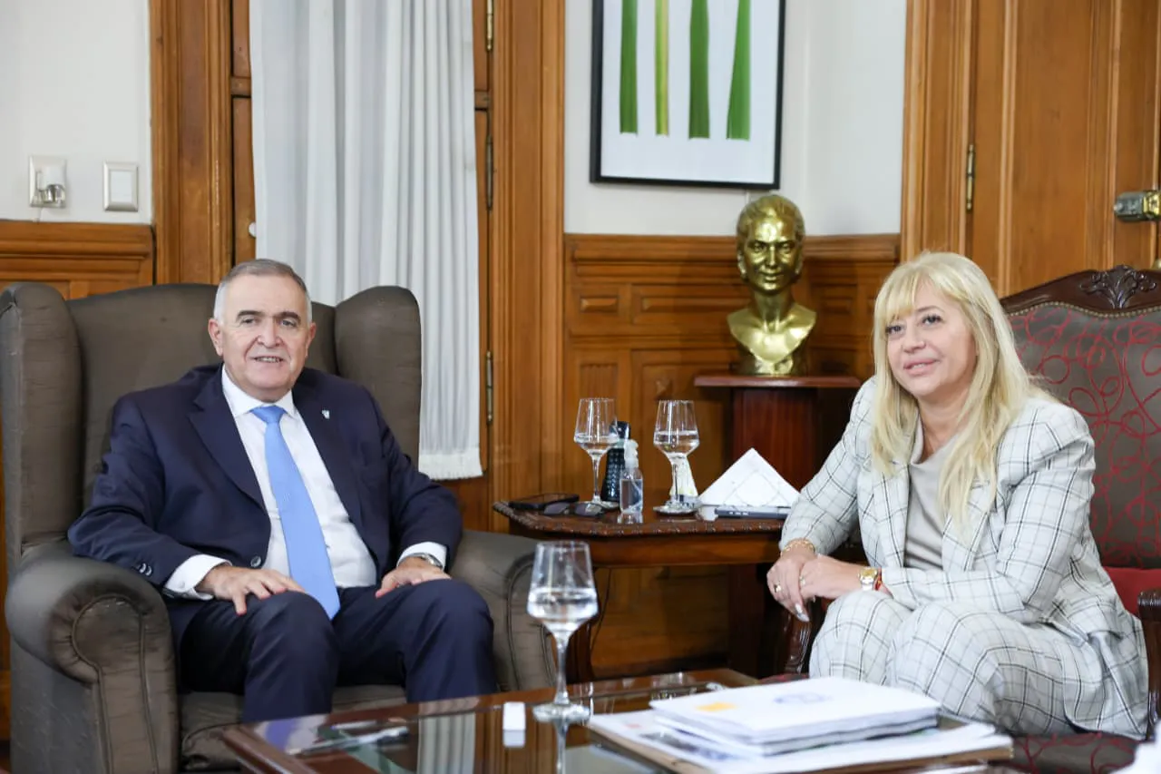 WhatsApp Image 2025-12-19 at 13.43.32