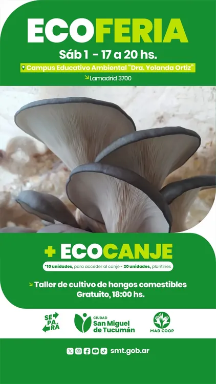 WhatsApp Image 2025-10-30 at 10.14.10 AM (1)