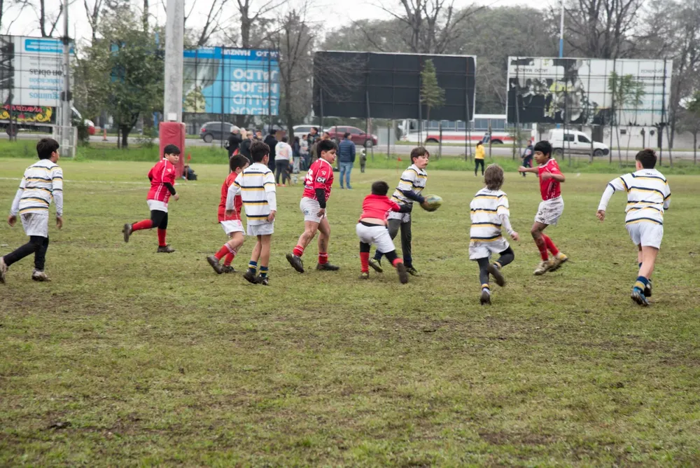 Forestación con la URT