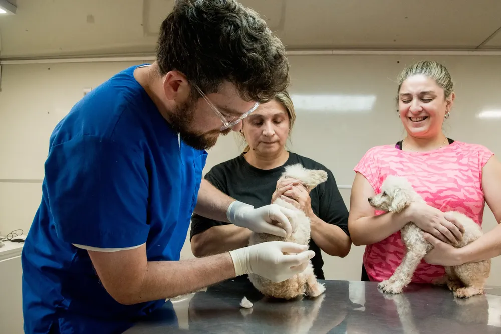 WhatsApp Image 2025-11-07 at 12.08.44