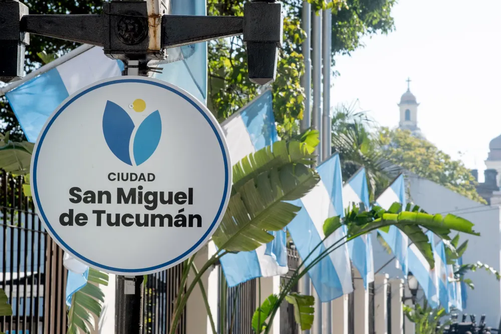 2025 ornamentación patria banderas smt (2)