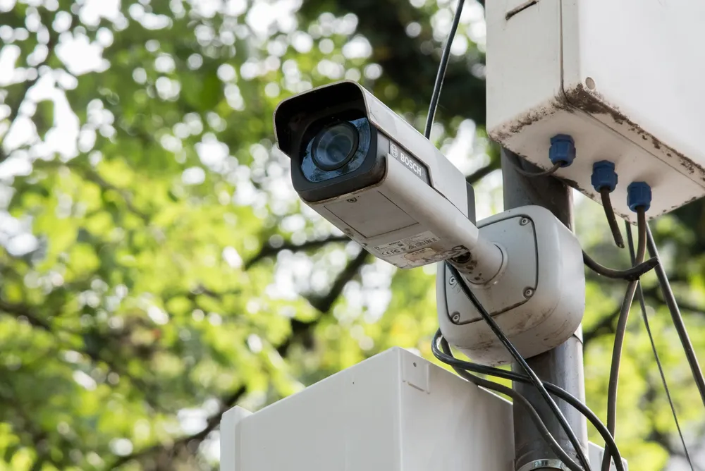 WhatsApp Image 2025-03-27 at 12.36.46 PM