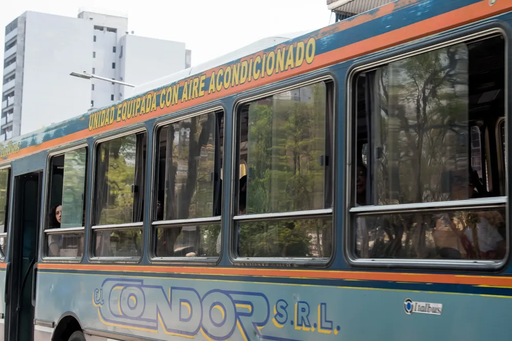 WhatsApp Image 2024-09-25 at 1.38.24 PM (1)