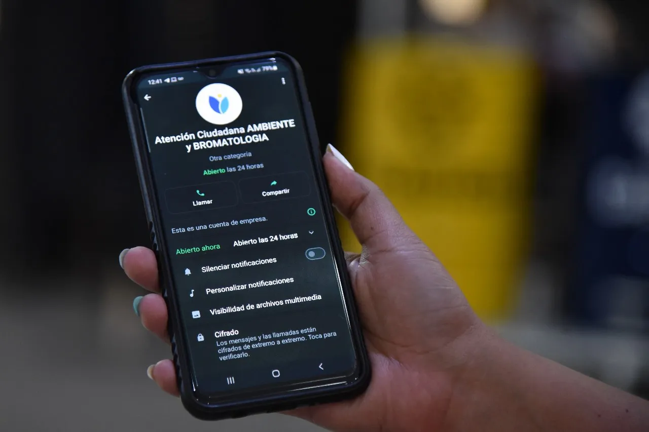 WhatsappAtención2024-02-02 at 13.15.37