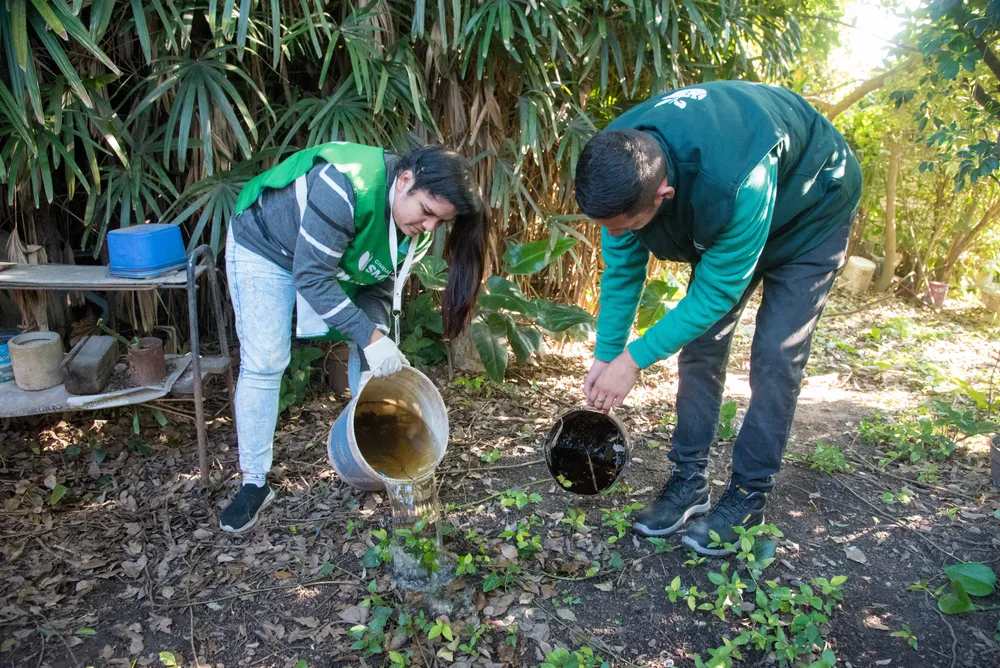 2025 operativo de control focal prevención del dengue