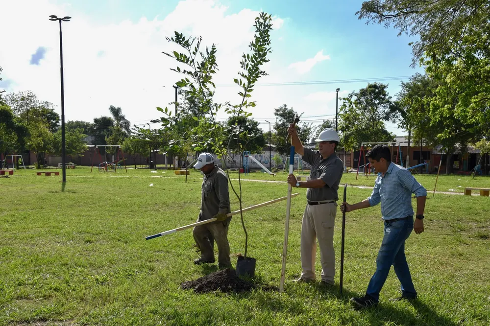 WhatsApp Image 2024-03-27 at 13.22.36