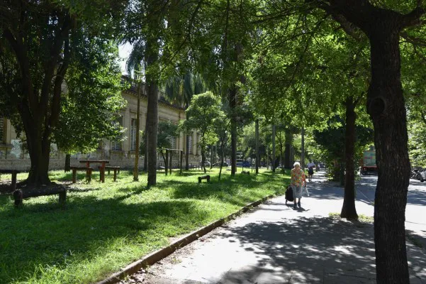 arbolado Colegio Nacional