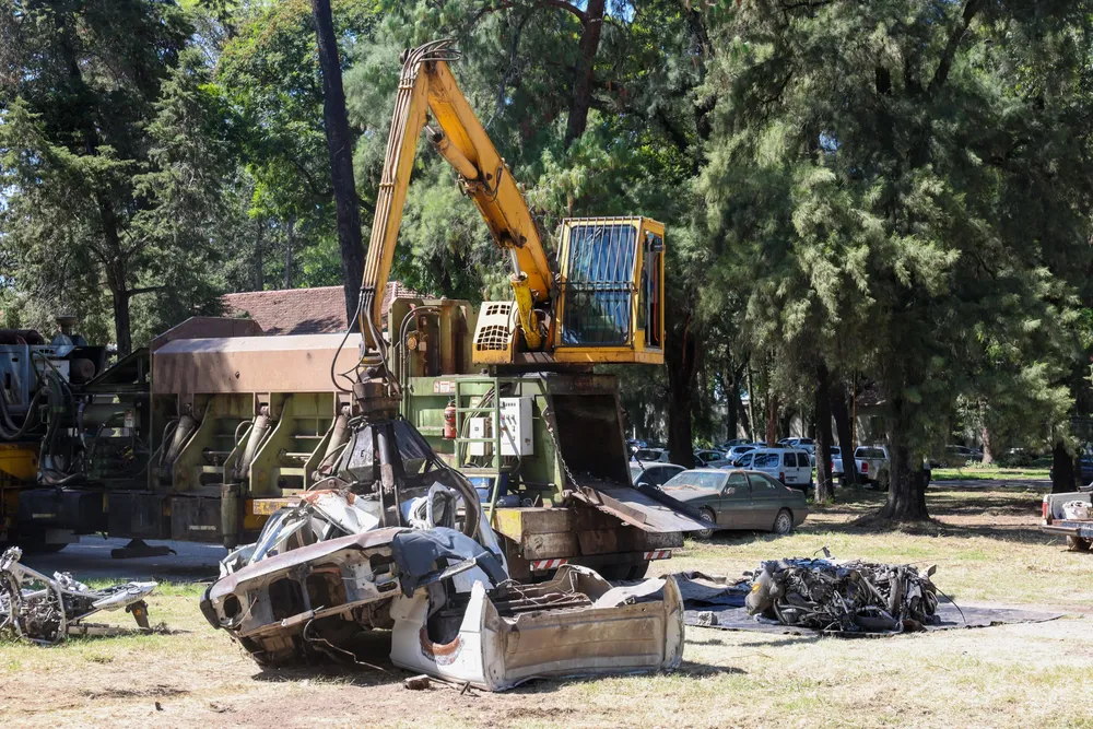 WhatsApp Image 2025-03-07 at 1.11.20 PM